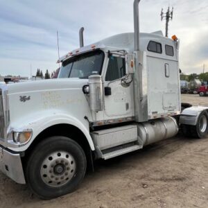 2009 International 9900